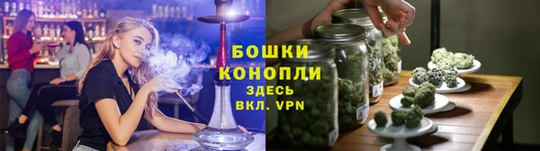 стаф Белокуриха