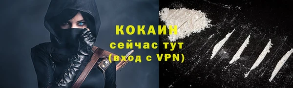 стаф Белокуриха