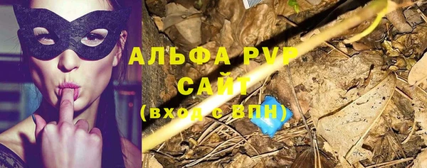 стаф Белокуриха