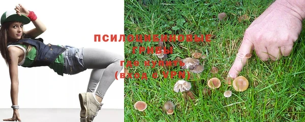 стаф Белокуриха