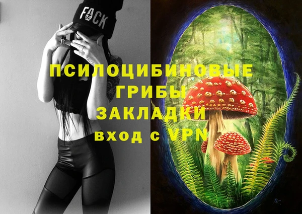 спиды Беломорск