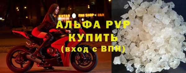 стаф Белокуриха