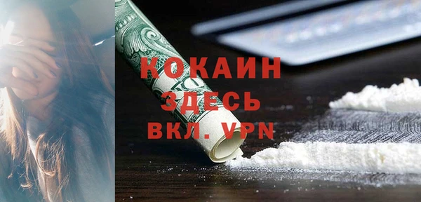 стаф Белокуриха