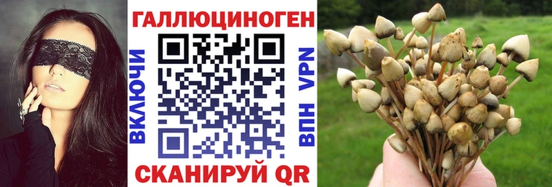 даркнет как зайти где найти Полтавская Галлюциногенные грибы Cubensis